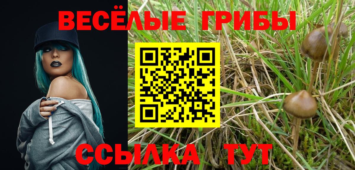 Галлюциногенные грибы мицелий Красногорск